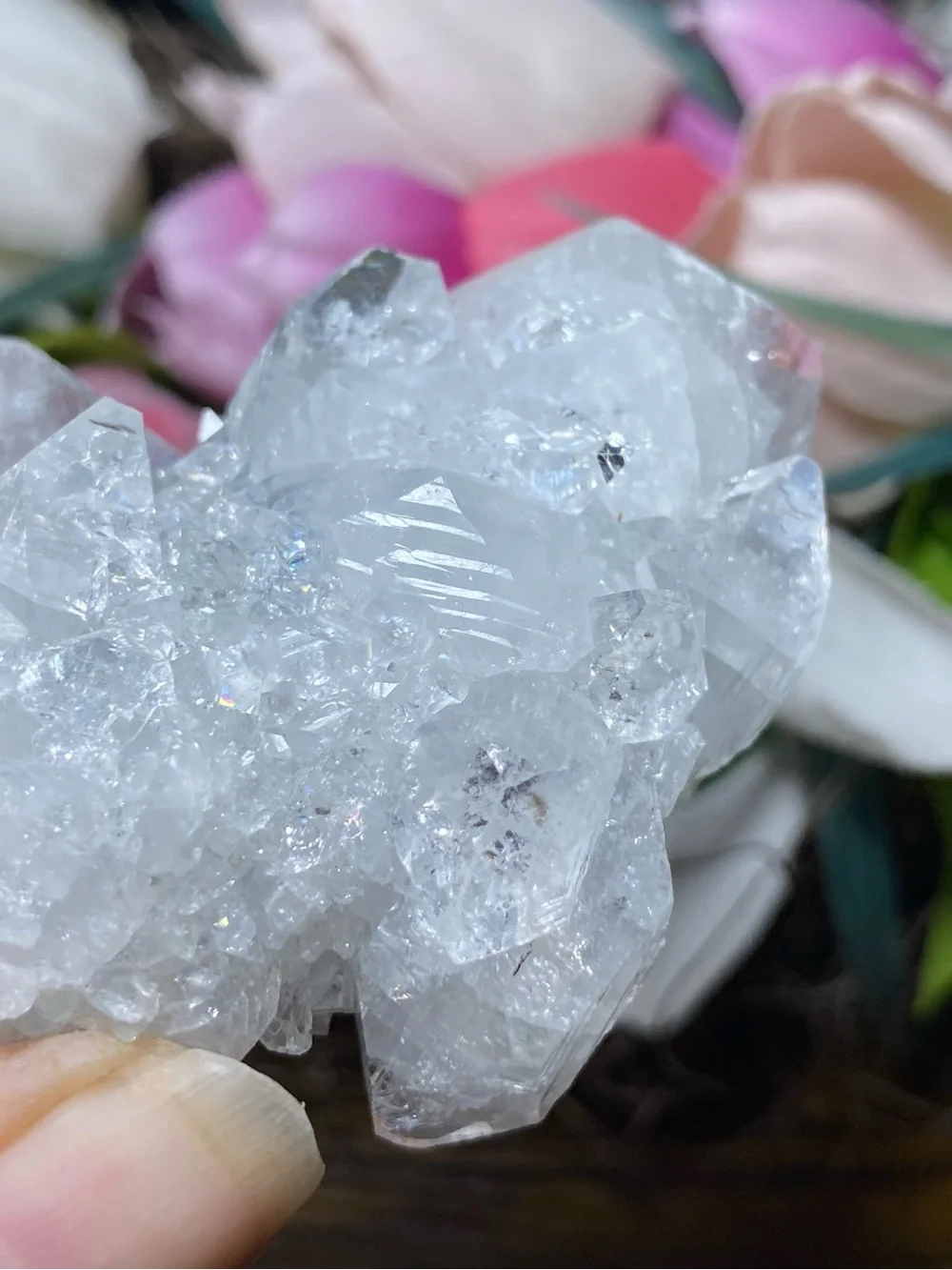 Apophyllite Stalactite Cluster
